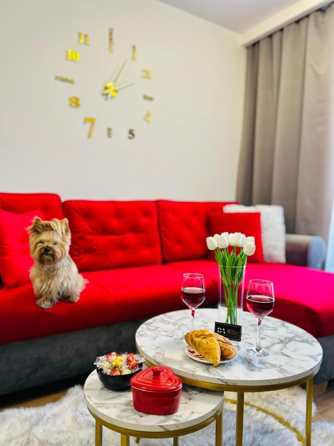 Downtown Apartments Presley Air-Conditioned Rzeszow Bagian luar foto